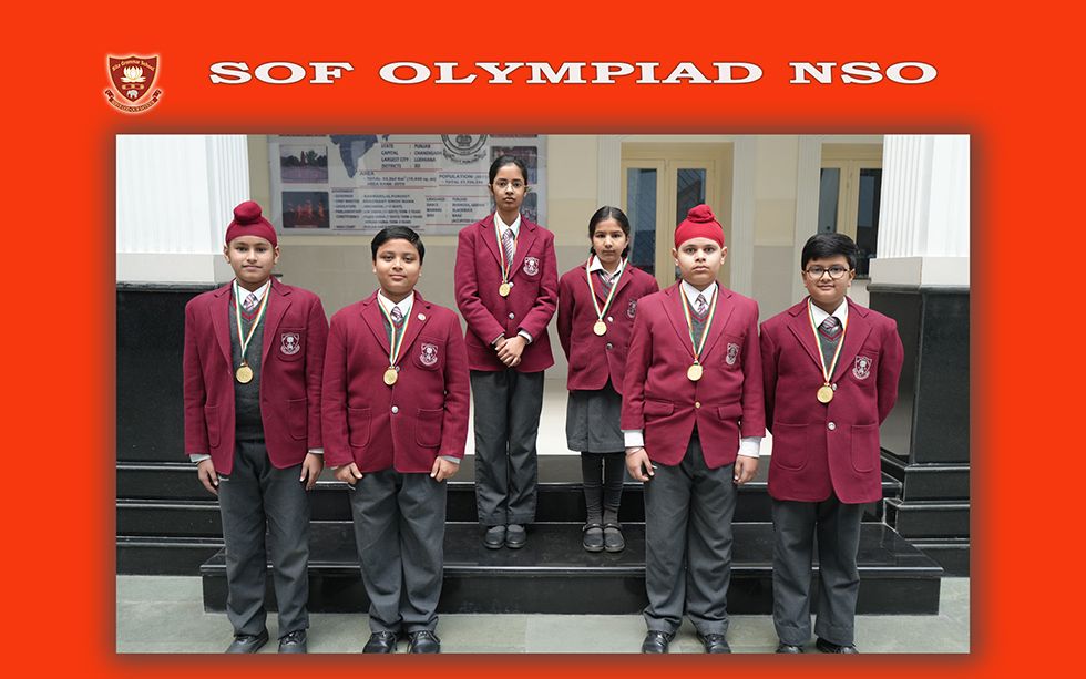 SofOlympiadNso 1