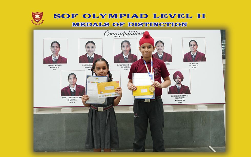 SofOlympiadLevel II