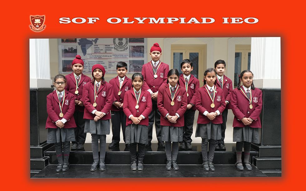 SofOlympiadIeo 2
